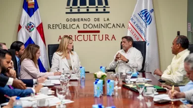 El ministro Limber Cruz junto a Michelle Bekkering durante reunión oficial en Santo Domingo