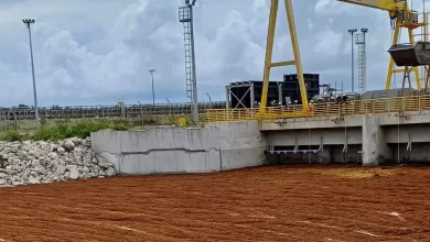 Personal de la Armada Dominicana y la empresa SOS Carbon colaborando en un operativo de limpieza de sargazo.