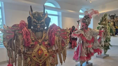 Los coloridos trajes y galería fotográfica del Museo Carnaval Vegano