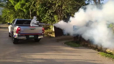 Brigadas del Ministerio de Salud realizando labores de fumigación y descacharrización en un barrio de la República Dominicana.